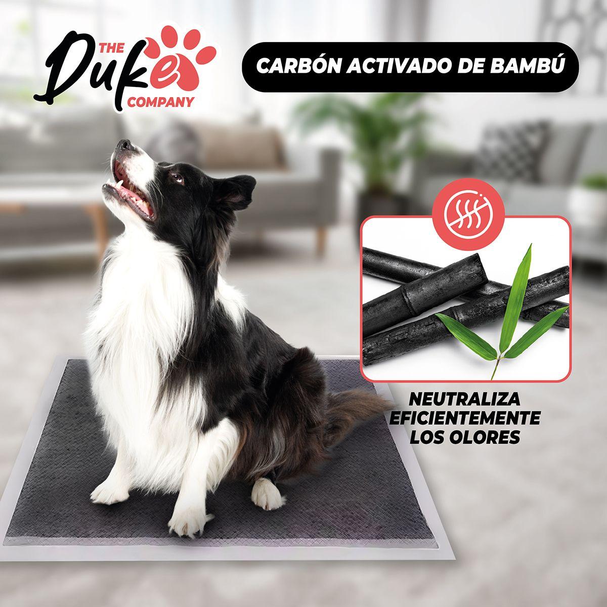 Sabanillas de Perro Carbon 60x60 Duke 6 Capas Aromaticas 40U-6