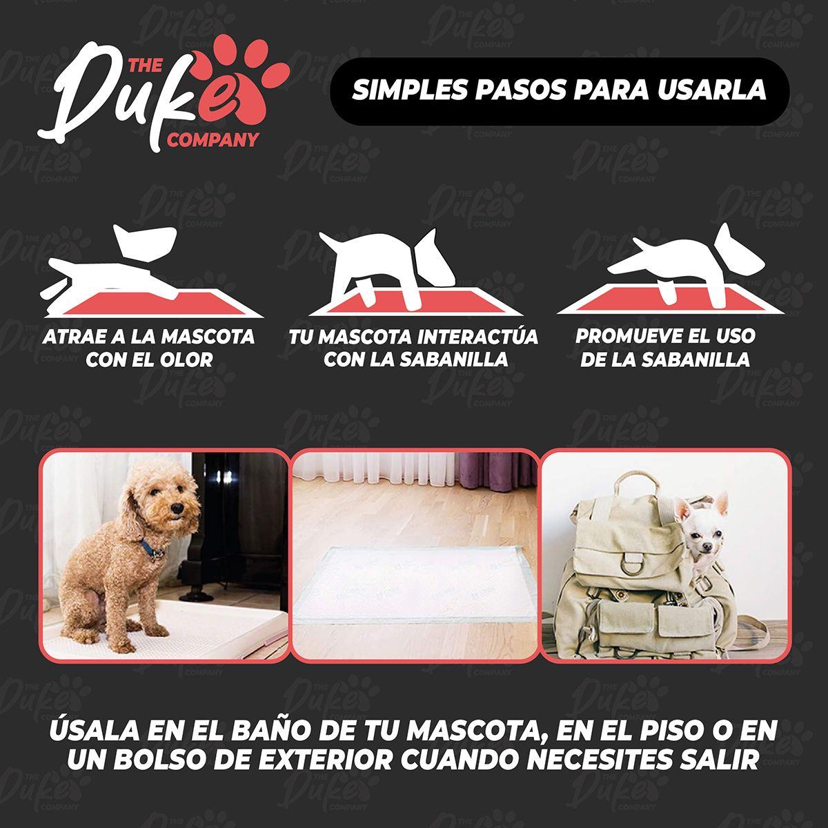 Sabanillas de Perro Carbon 60x60 Duke 6 Capas Aromaticas 40U-7