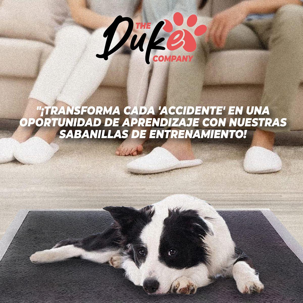 Sabanillas de Perro Carbon 60x60 Duke 6 Capas Aromaticas 40U-8