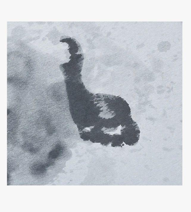 Alfombra Piso Ba o Secado Ultra R pido-2