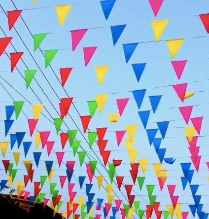 Guirnalda Decorativa 120 Banderines 70m-3