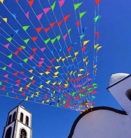 Guirnalda Decorativa 120 Banderines 70m-5