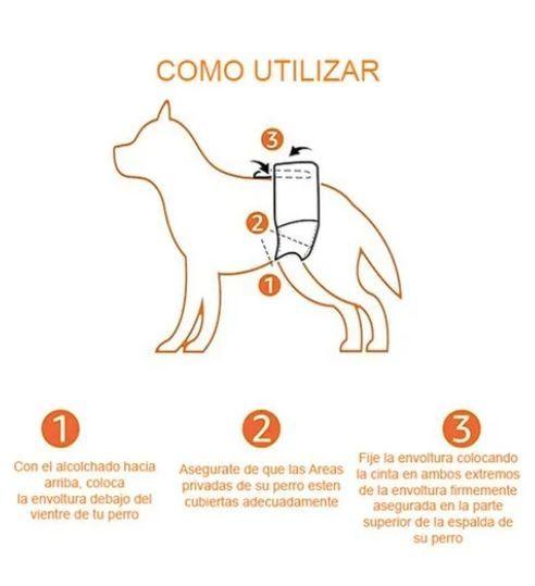 24 Pañales Perros Macho-2