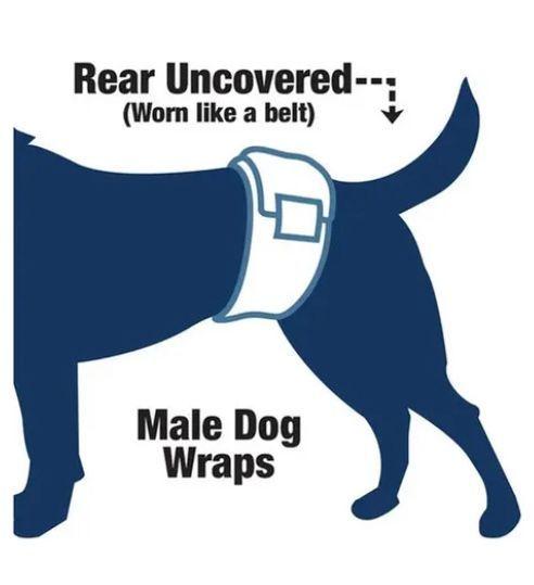 24 Pañales Perros Macho-4