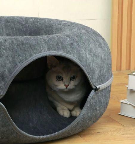 Tunel Cama Gato Mascota Talle Grande-3