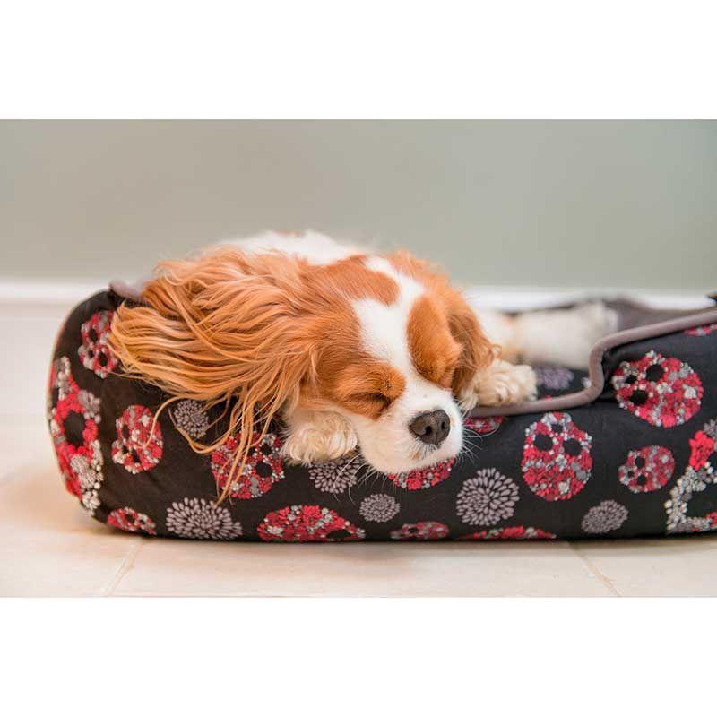 Cama de Perro PlayPet Lounge-2