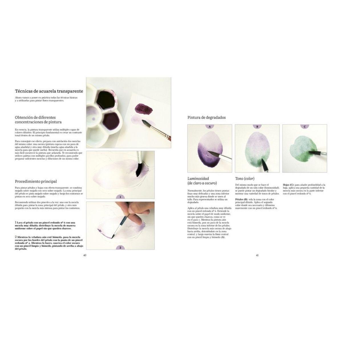 Taller de pintura botánica. Flores y transparencias a la acuarela-2