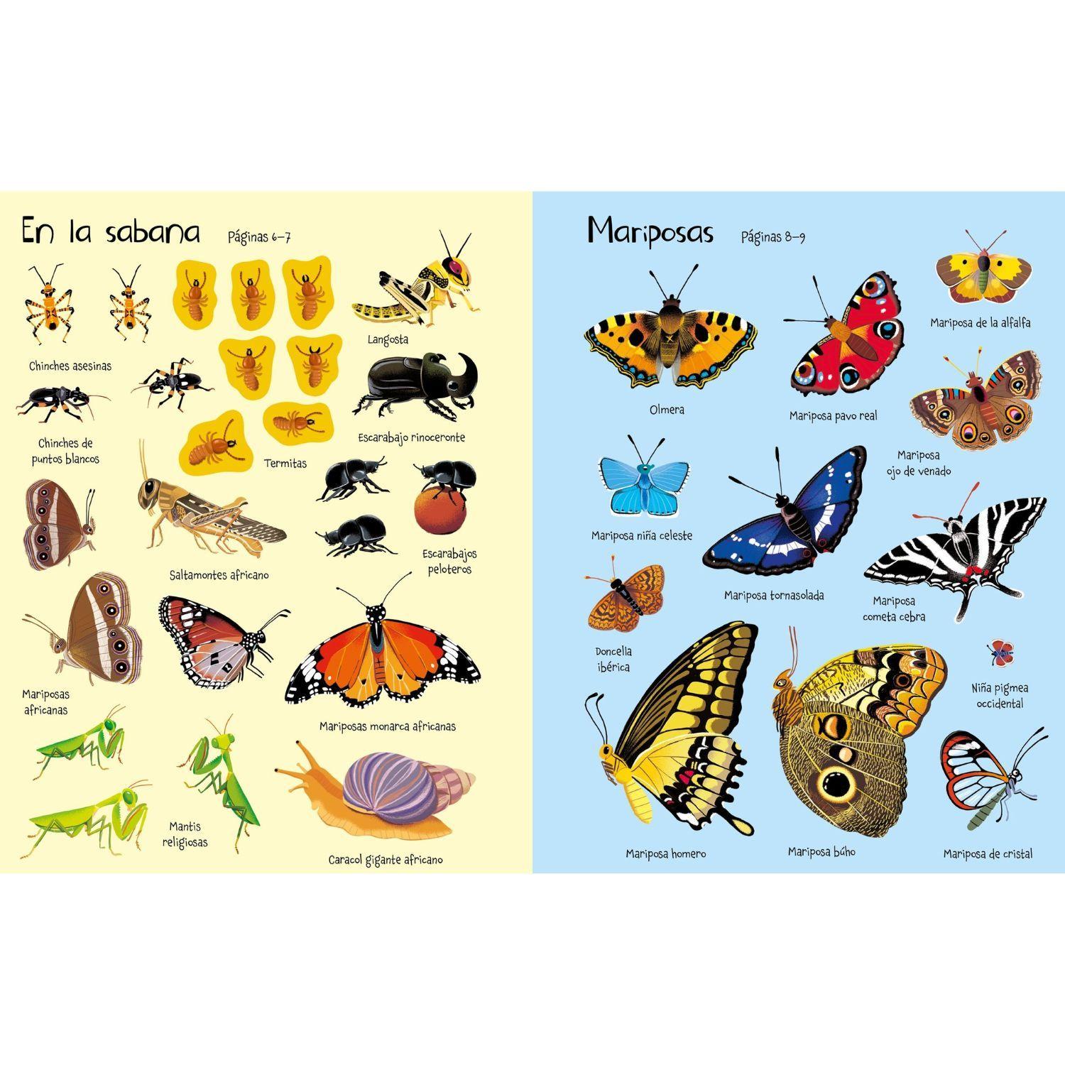 Mi primer libro de pegatinas - Bichitos-3