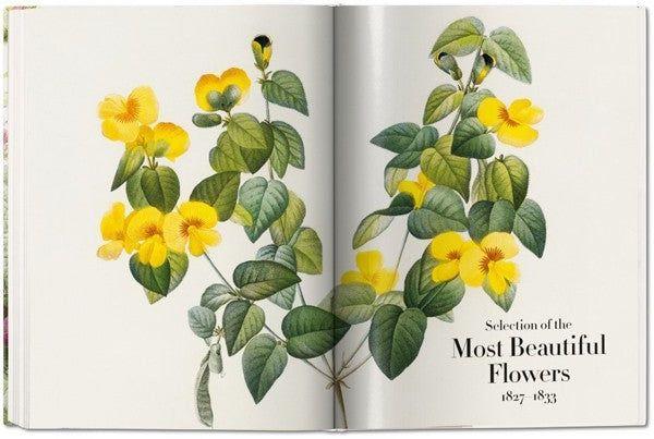 Fp - The Book Of Flowers-5