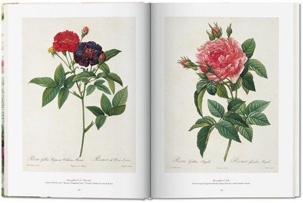 Fp - The Book Of Flowers-6