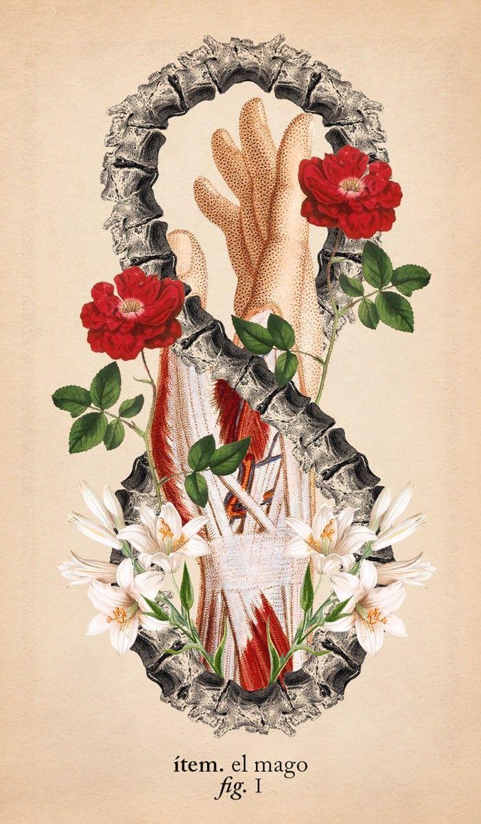 El Tarot De Anatomía Y Botánica Antiguas-2