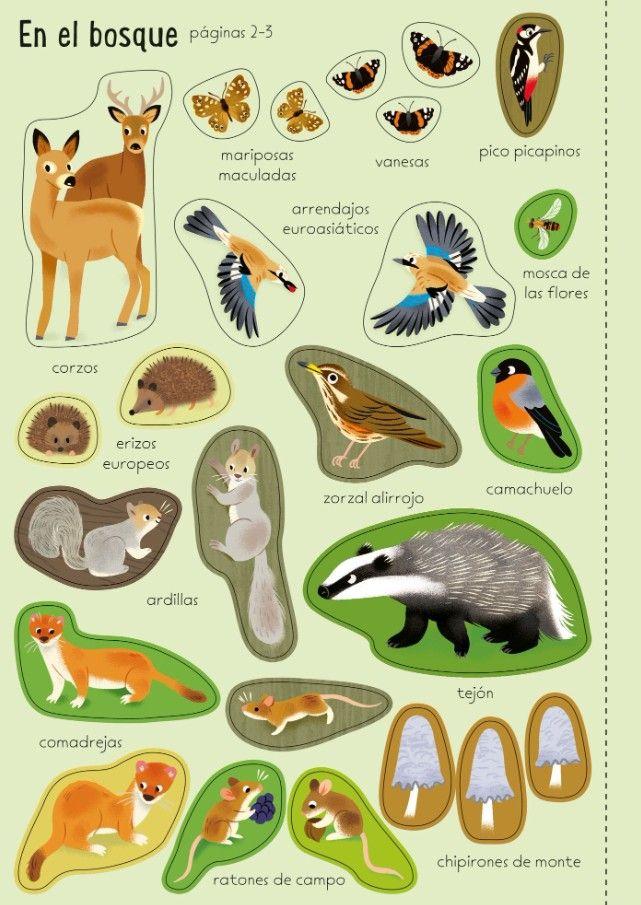 Libro Paisajes del mundo-5