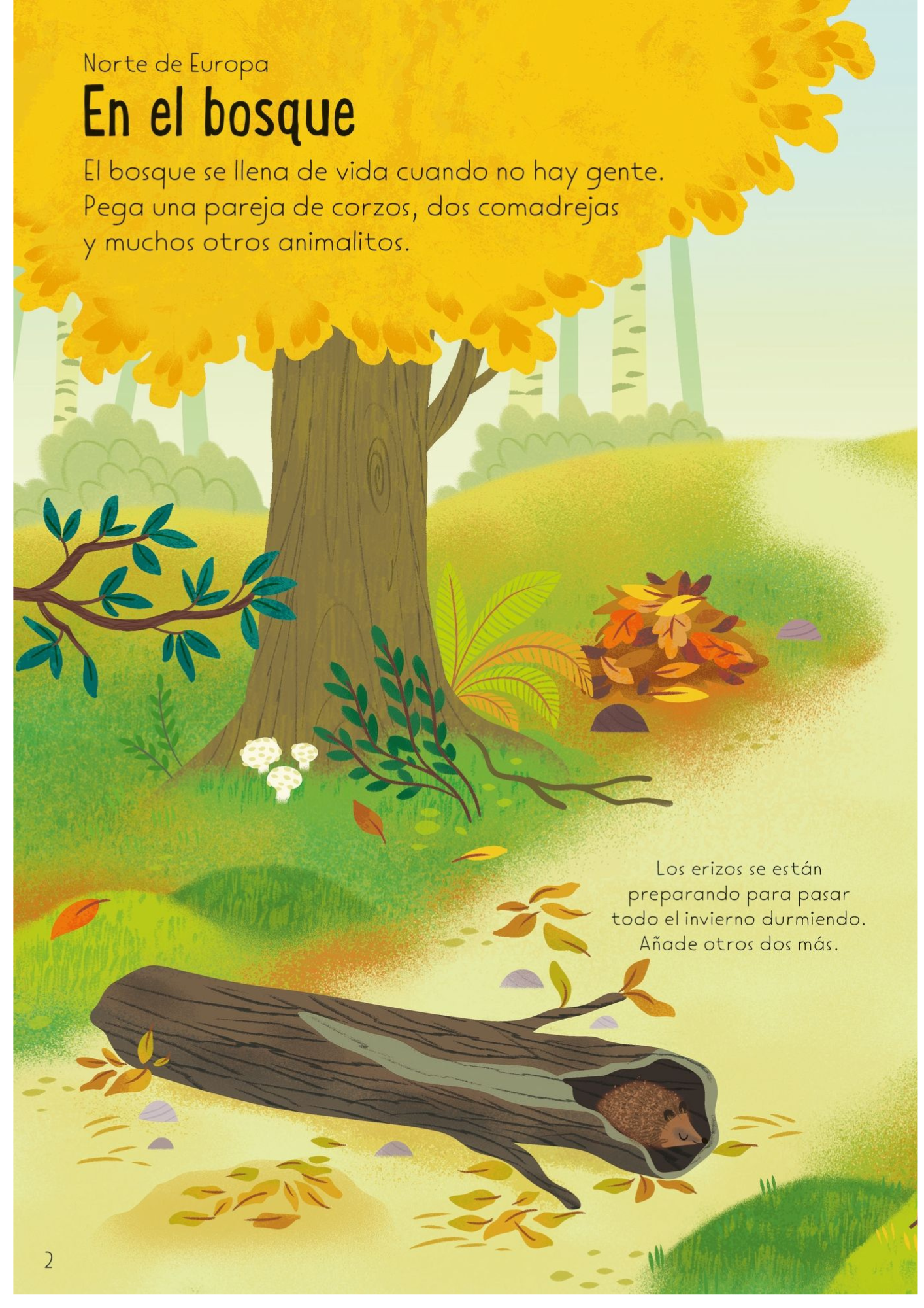 Paisajes del mundo de Editorial Usborne-2