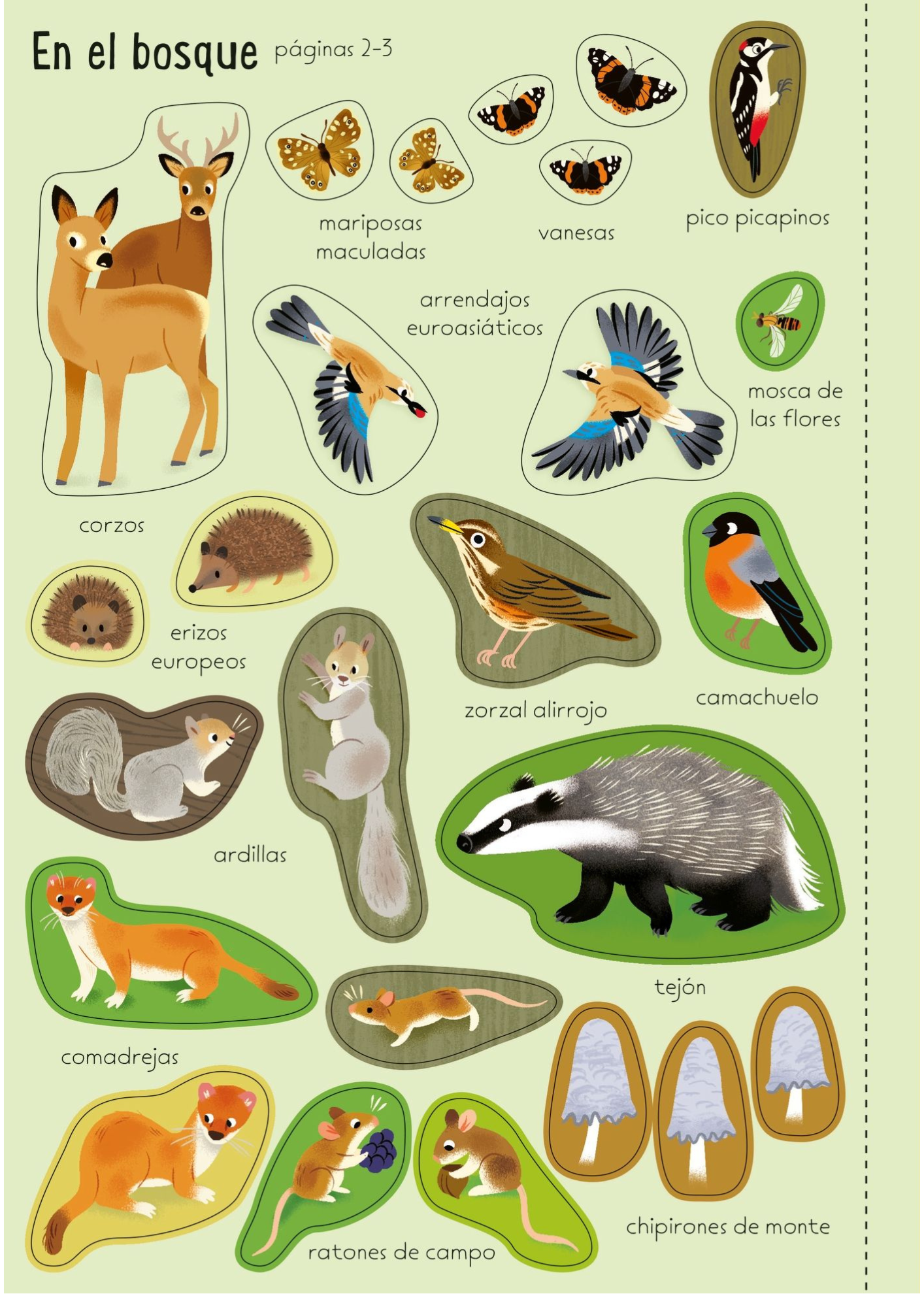 Paisajes del mundo de Editorial Usborne-3