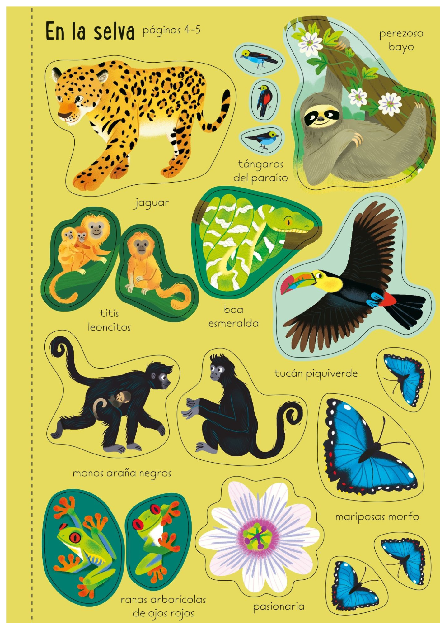 Paisajes del mundo de Editorial Usborne-4