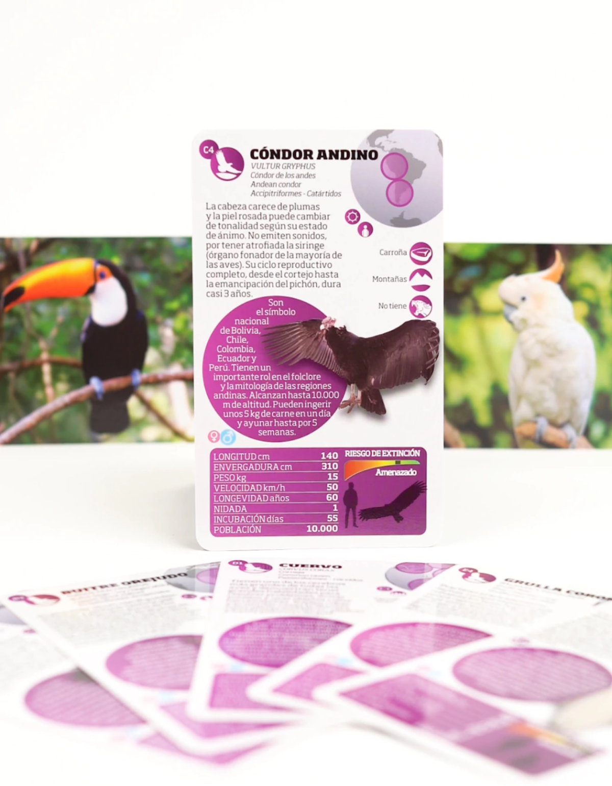 Enciclopedia de aves-4