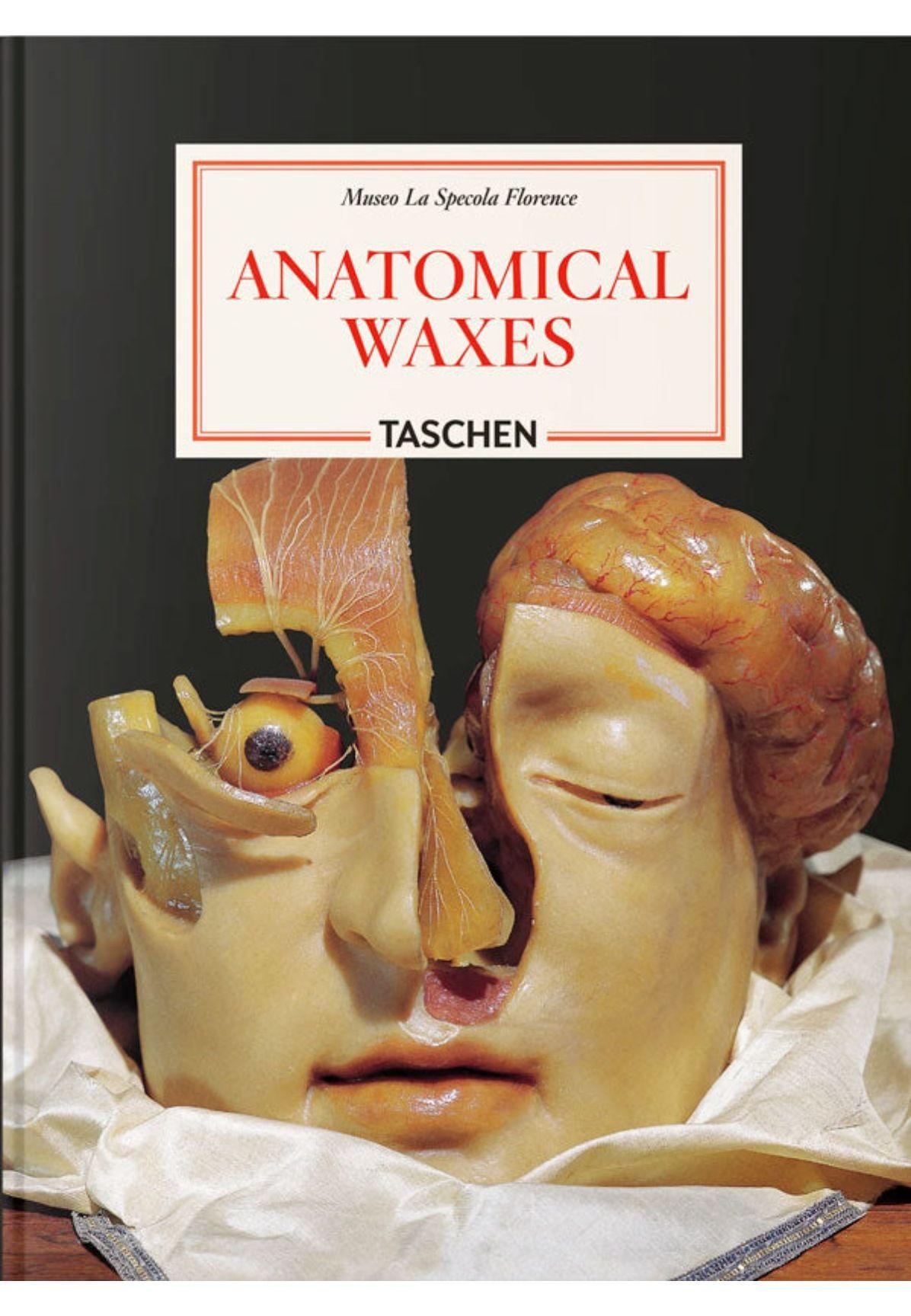 Anatomical Waxes. 45th Ed.-0