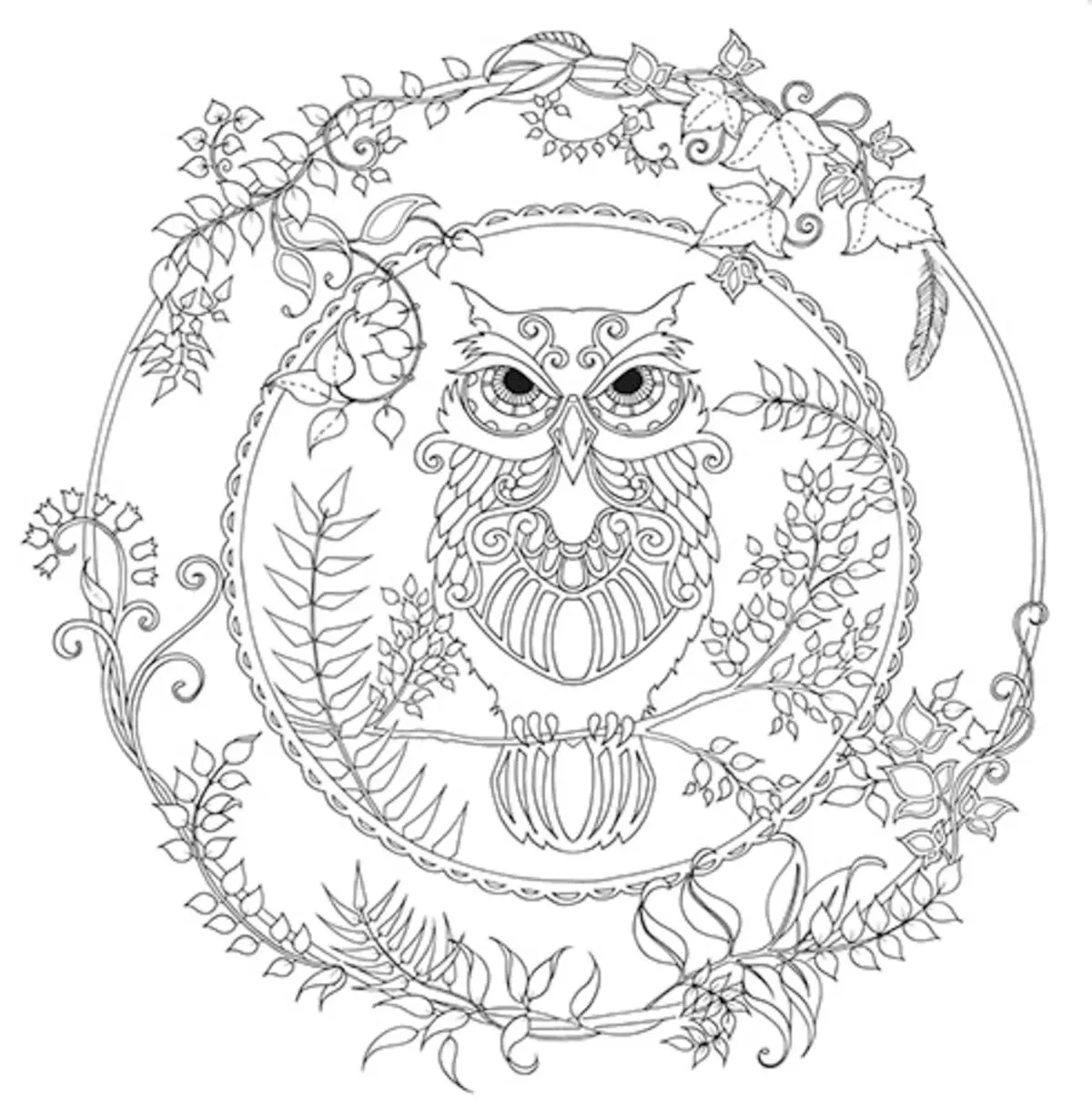 Imagen de producto