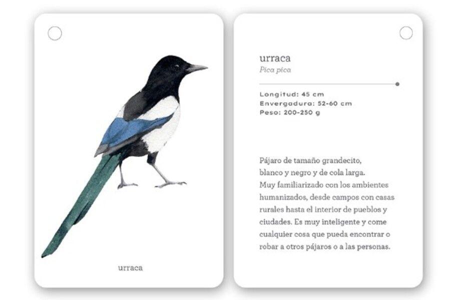 Fíjate: Pájaros. Guía para iniciar la observación pájaros-2