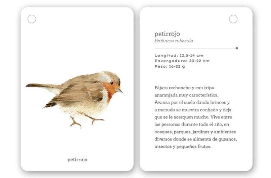 Fíjate: Pájaros. Guía para iniciar la observación pájaros-3