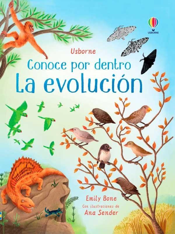 Conoce Por Dentro - La Evolución-4