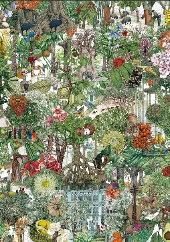 Vuelta al Mundo en 50 árboles. Puzzle 1000 Piezas-3