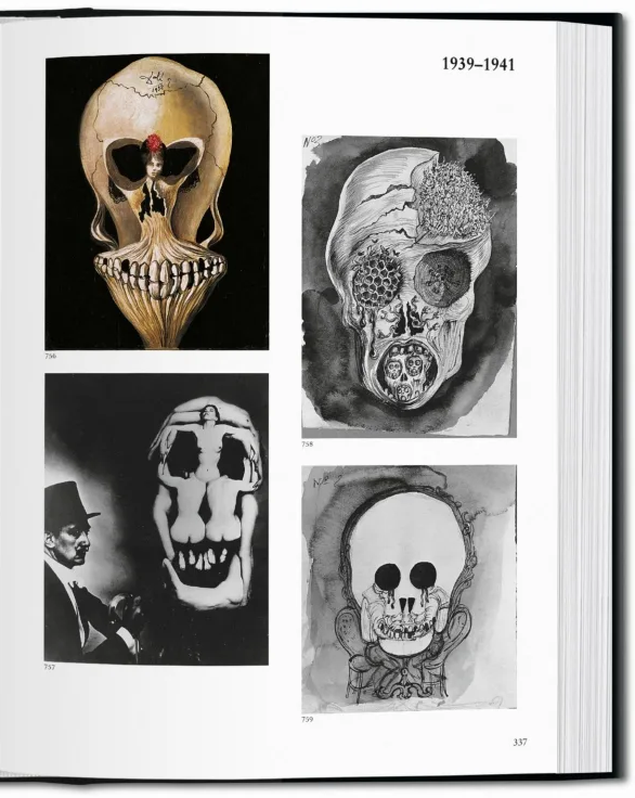 Biblioteca Universal - Dalí-4