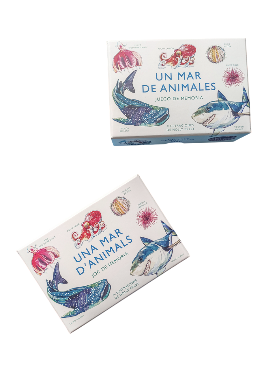 Un Mar De Animales. Juego De Memoria-5