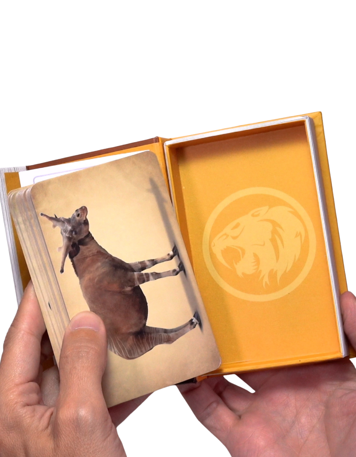 Enciclopedia de Mamíferos Prehistóricos-2