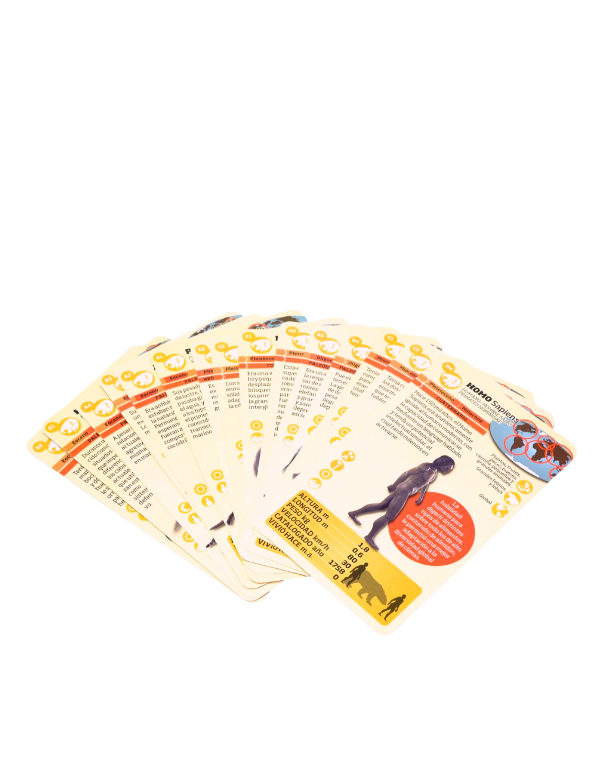 Enciclopedia de Mamíferos Prehistóricos-3