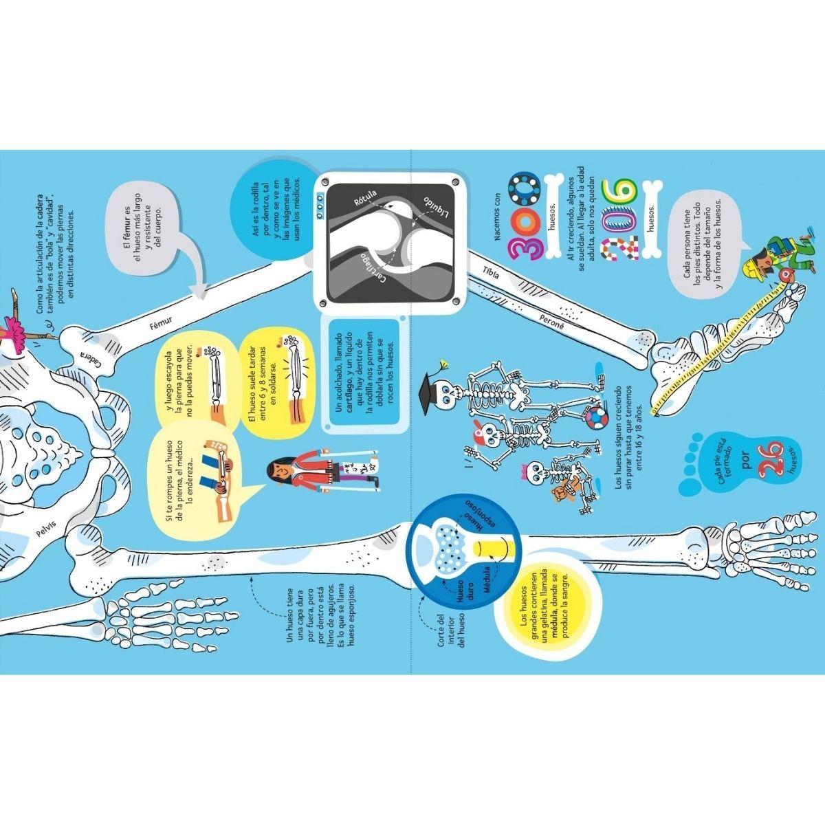 El gran libro del cuerpo humano-2