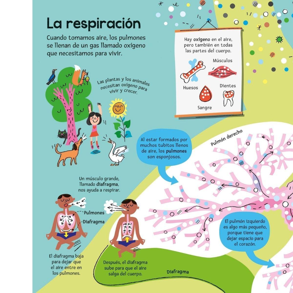 El gran libro del cuerpo humano-3