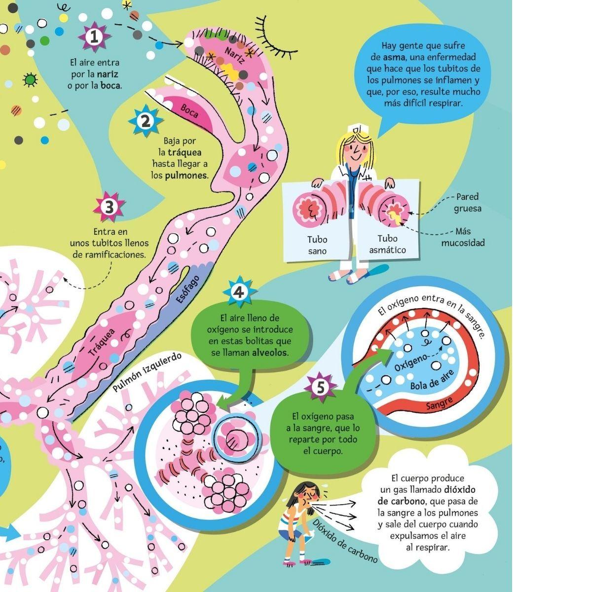 El gran libro del cuerpo humano-4