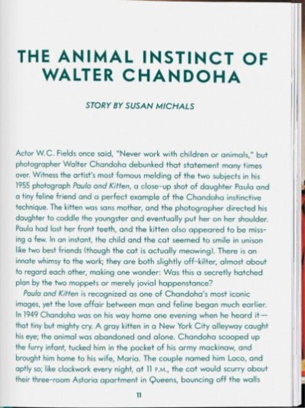 Walter Chandoha. Cats. Photographs 1942–2018 - Taschen-2