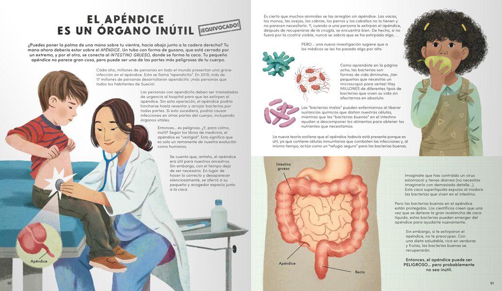 Todo lo que sabes sobre el cuerpo humano está equivocado-2