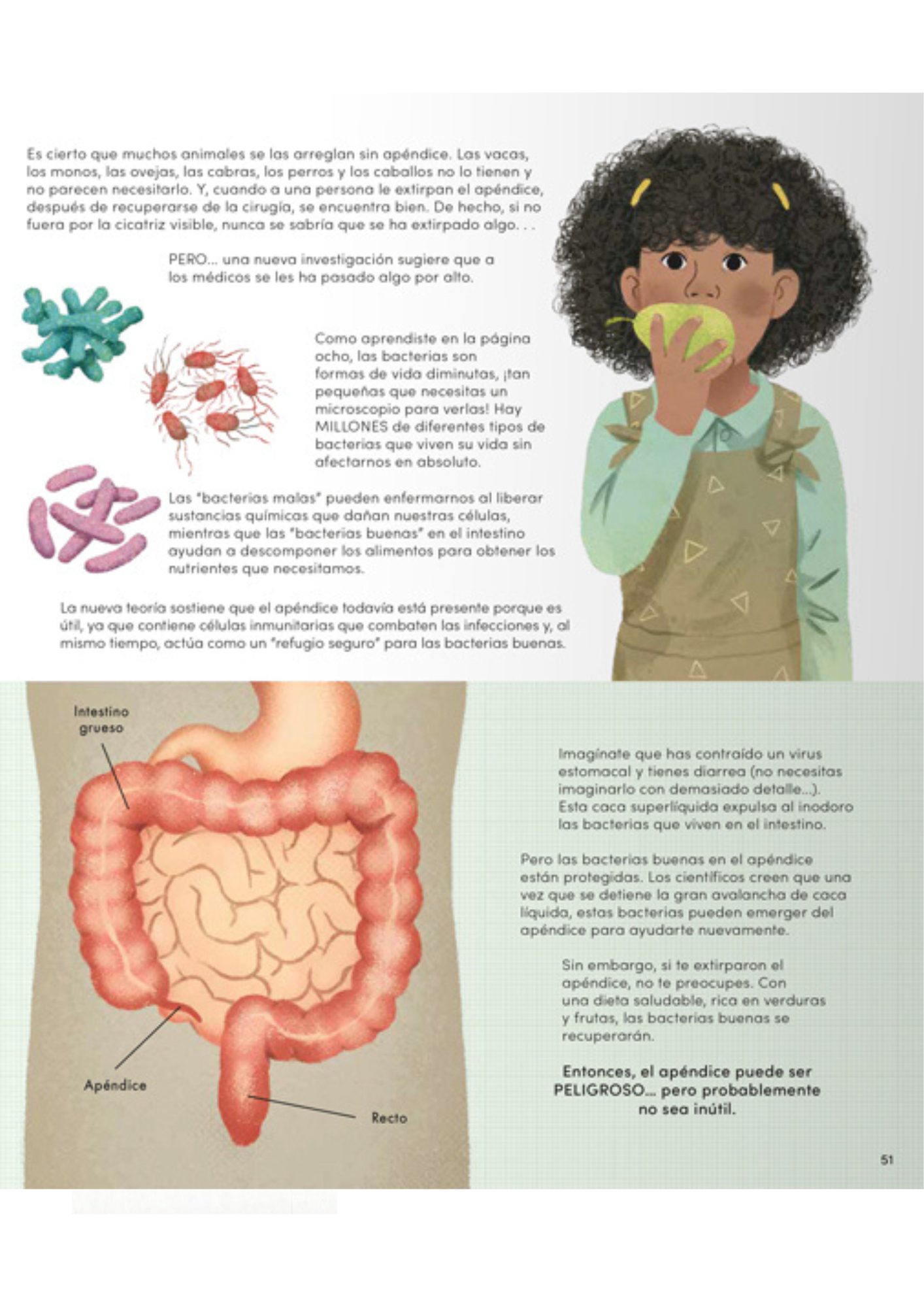 Todo lo que sabes sobre el cuerpo humano está equivocado-2