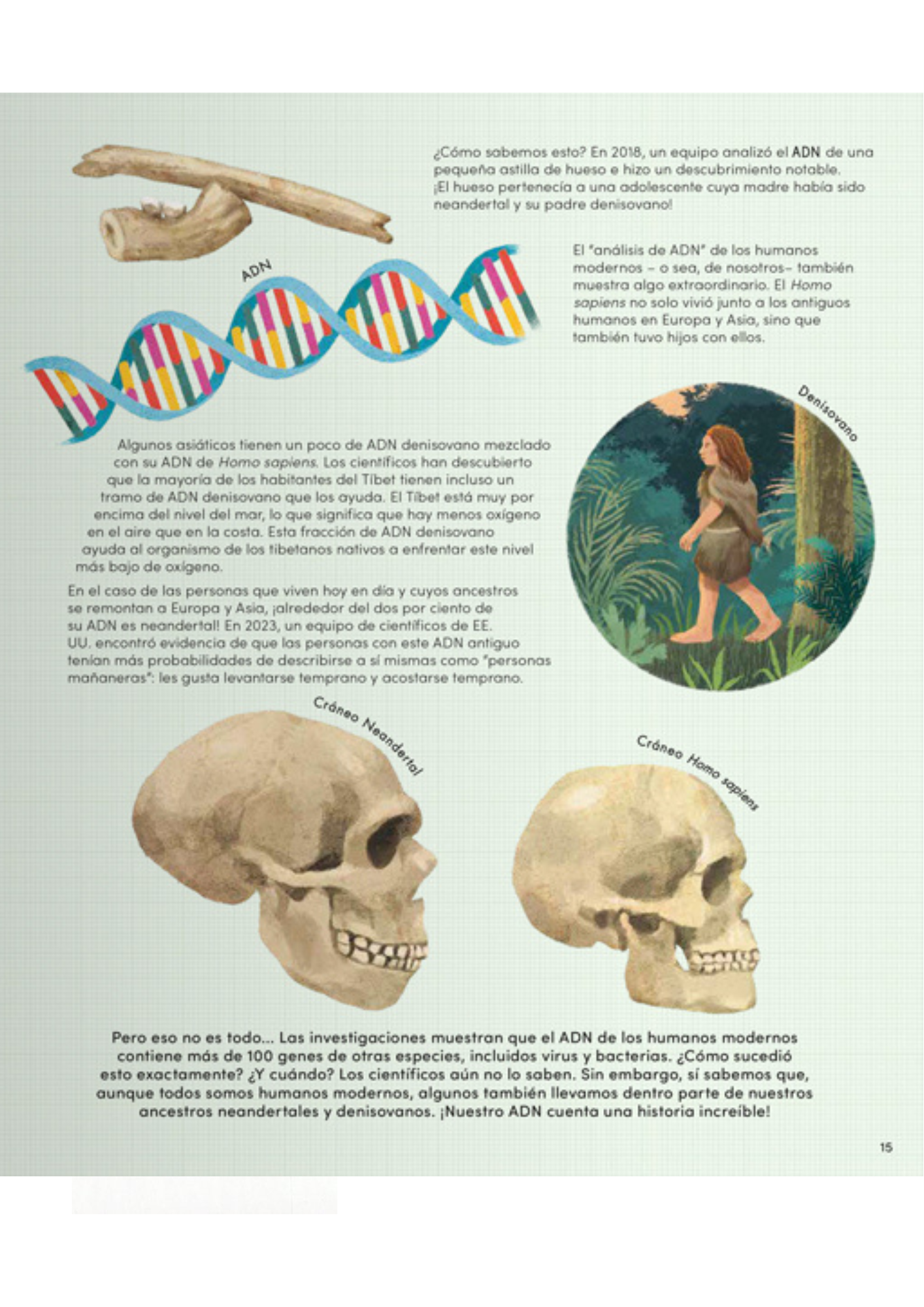 Todo lo que sabes sobre el cuerpo humano está equivocado-3
