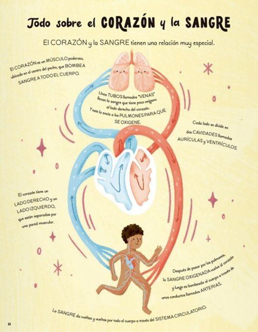 Historias del cuerpo humano en 5 minutos-4