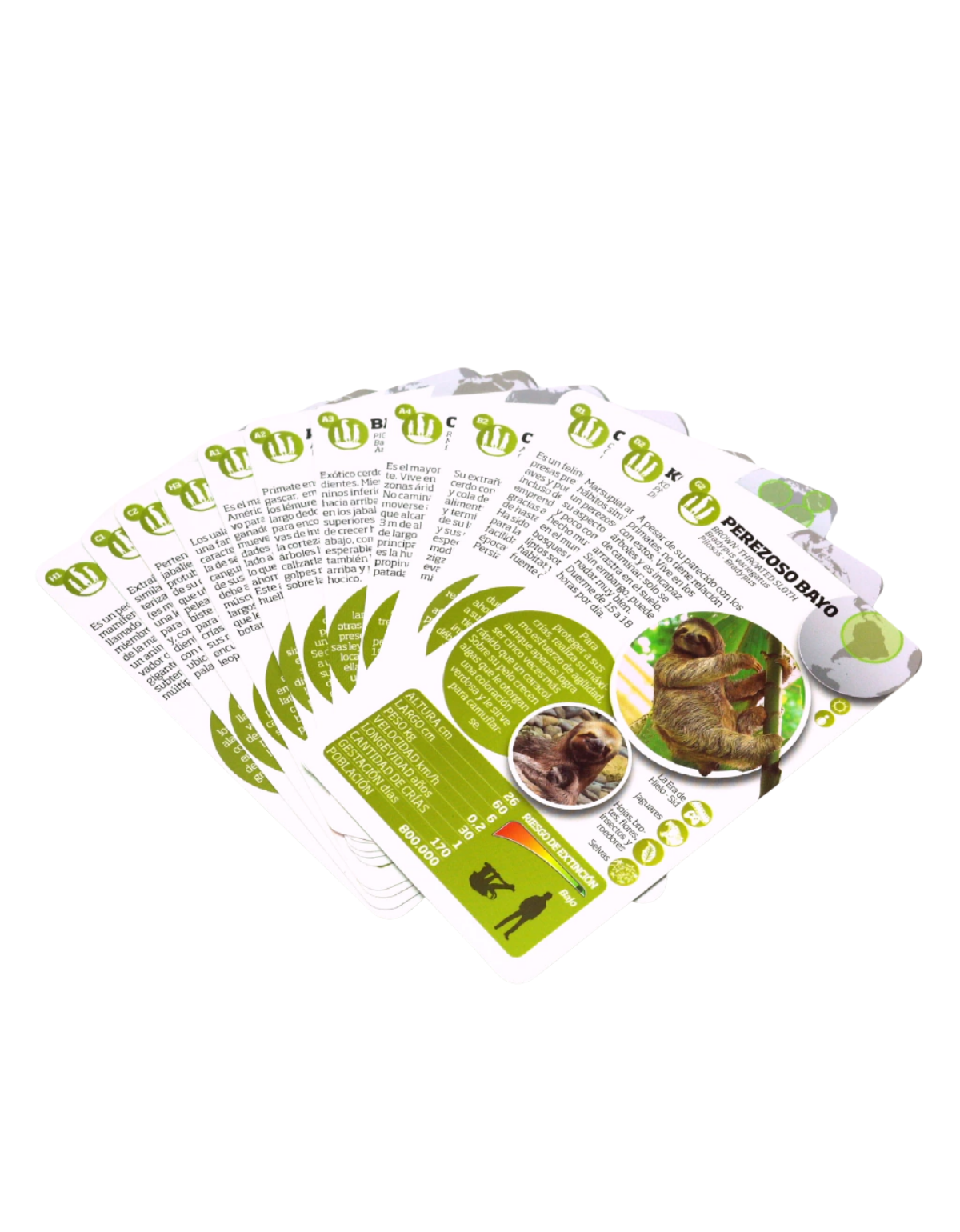 Enciclopedia de Animales Asombrosos-3