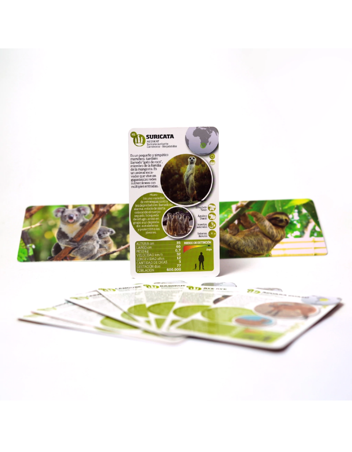 Enciclopedia de Animales Asombrosos-4