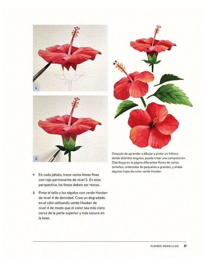 Dibujar Y Pintar Bonitas Flores-2
