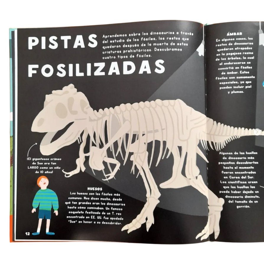 Mi Primer Libro De Comparaciones De Dinosaurios-1