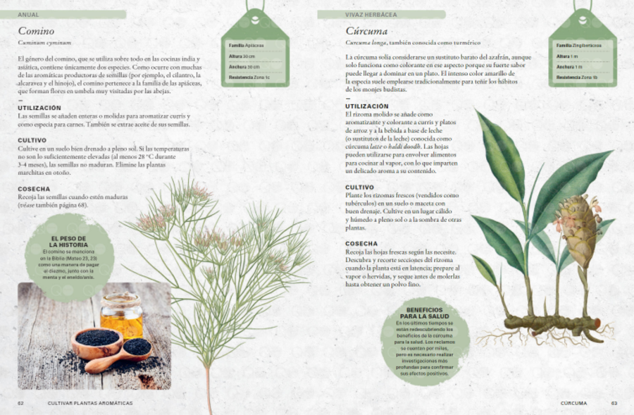 Libro Cultivar Plantas Aromáticas-2