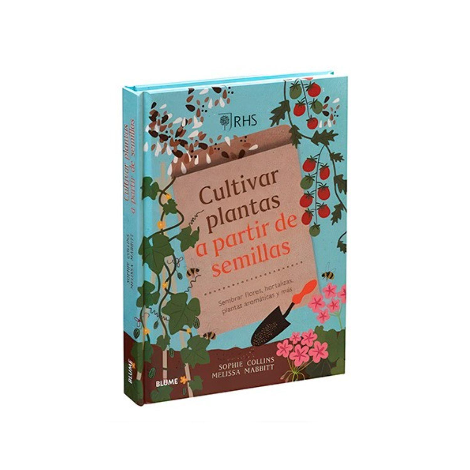 Cultivar plantas a partir de semillas-3