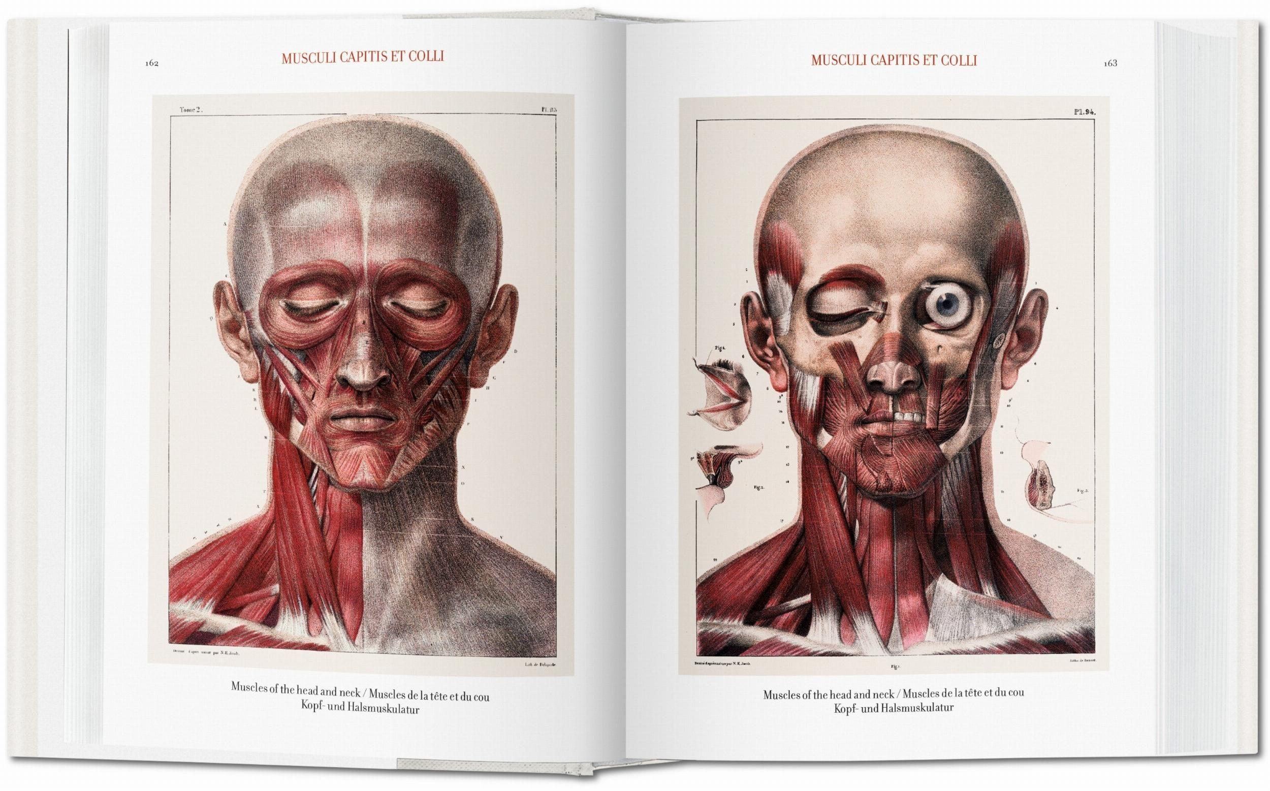 Biblioteca universal - Atlas of human anatomy and surgery-2