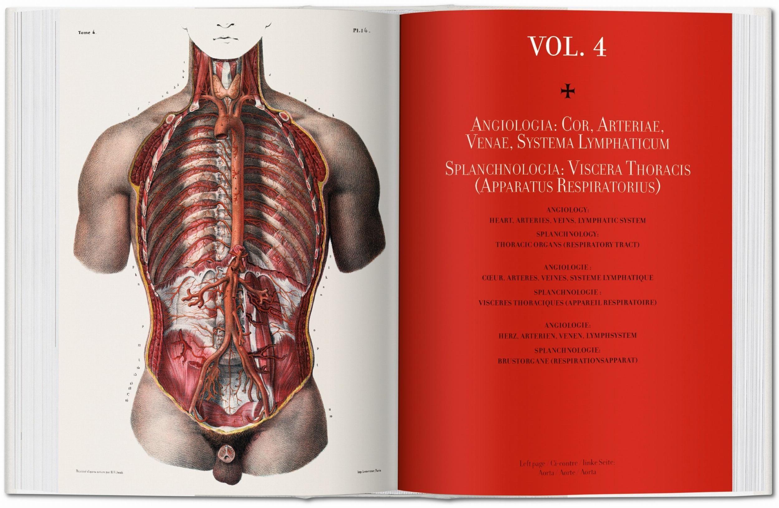 Biblioteca universal - Atlas of human anatomy and surgery-3