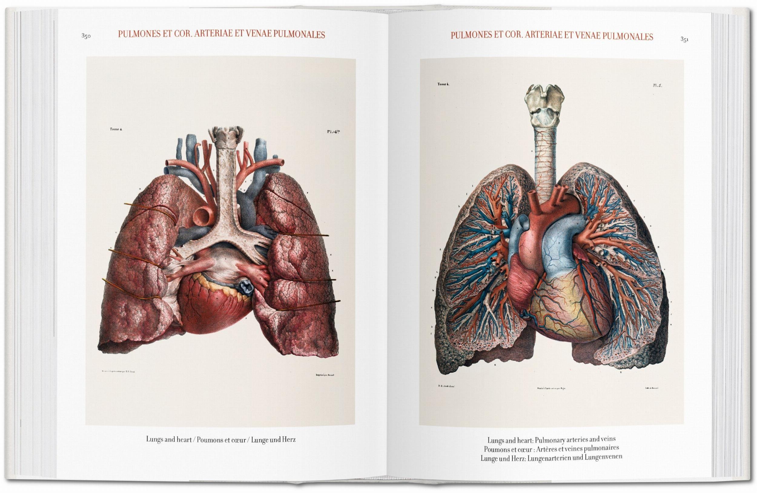 Biblioteca universal - Atlas of human anatomy and surgery-4