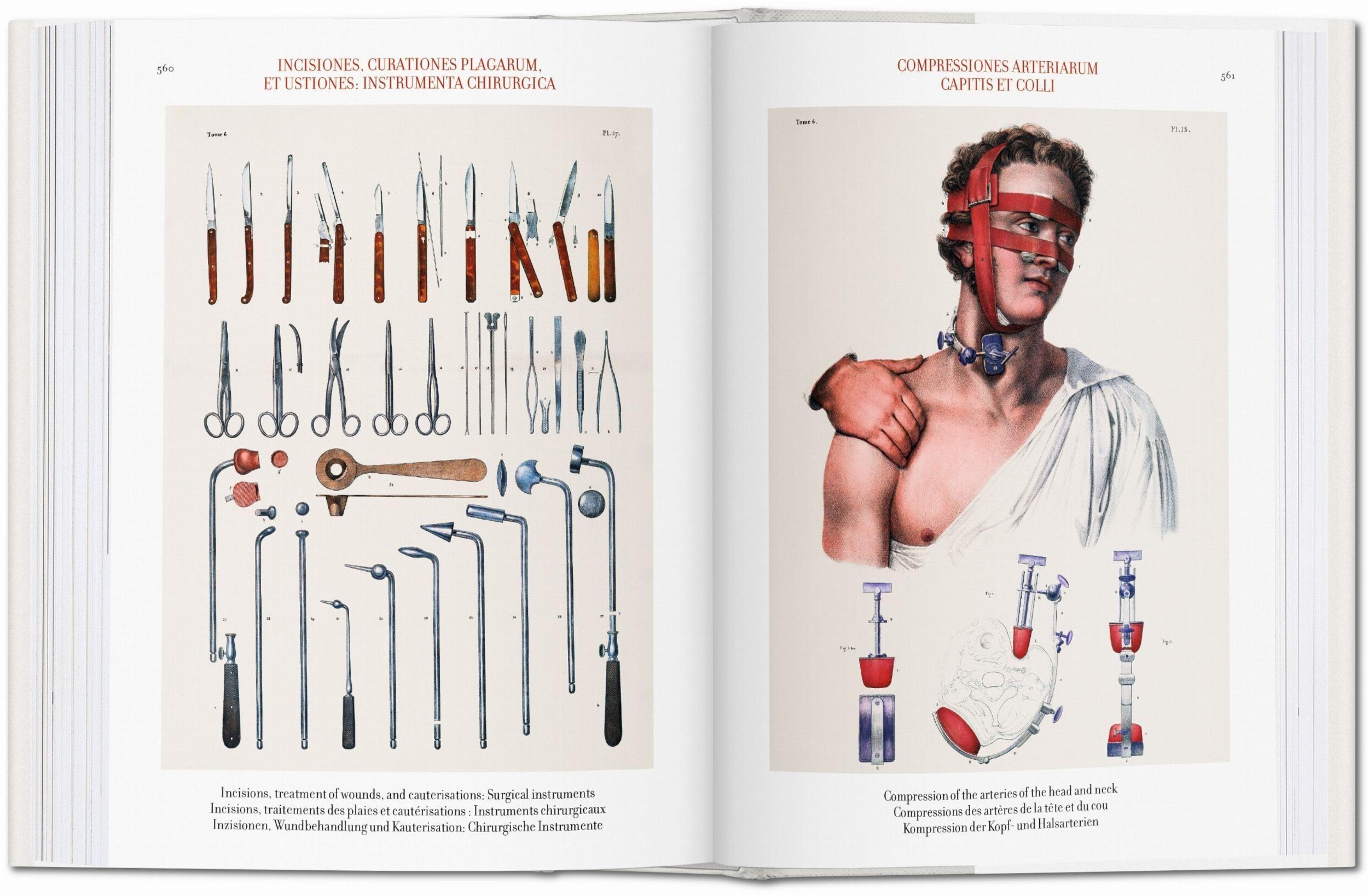 Biblioteca universal - Atlas of human anatomy and surgery-6