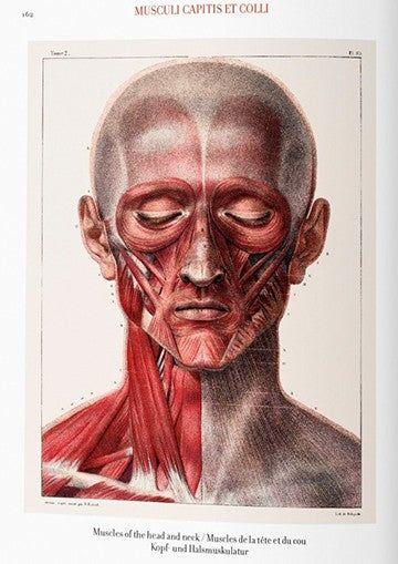 Biblioteca universal - Atlas of human anatomy and surgery-9