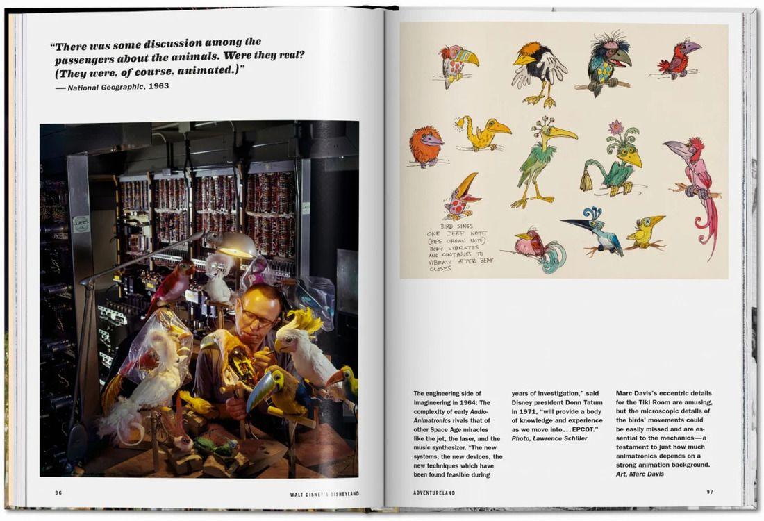 Disneyland · Pocket Book-3